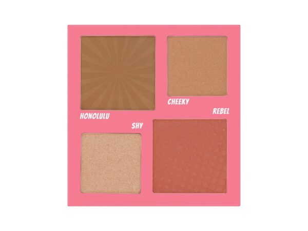 PLAETTE DE VISAGE (BRONZEUR/HIGHLIGHTER/BLUSH)